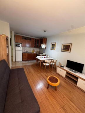 Modern apartments